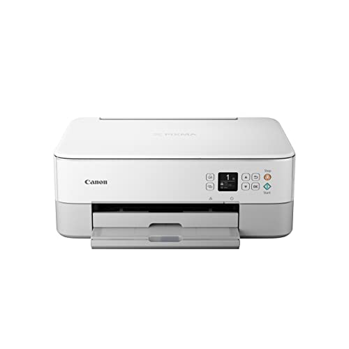 Canon PIXMA TS5351a Drucker Farbtintenstrahl Multifunktionsgerät DIN A4 (Scanner, Kopierer, OLED, 4.800 x 1.200 dpi, USB, WLAN, Duplexdruck, 2 Papierzuführungen), weiß