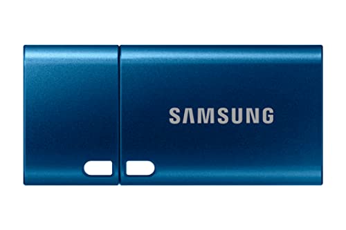 Samsung USB Type-C™ 128 GB 400 MB/s USB 3.1 Flash Drive (MUF-128DA/APC)