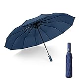 JeoPoom Regenschirm Taschenschirm Sturmfest, Auf Zu Automatik, Extra Stabil Mit 12 Streben, Durchmesser 105cm, Windsicherer Bis 140 km/h, Kompakter Falt Golfschirm(Blau)