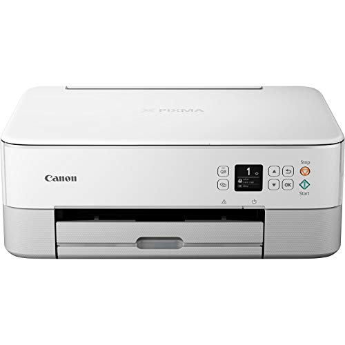 Canon PIXMA TS5351 Drucker Farbtintenstrahl Multifunktionsgerät DIN A4 (Scanner, Kopierer, OLED, 4.800 x 1.200 dpi, USB, WLAN, Duplexdruck, 2 Papierzuführungen), weiß