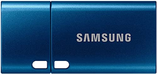 Samsung USB Type-C™ 256 GB 400 MB/s USB 3.1 Flash Drive (MUF-256DA/APC), Blue