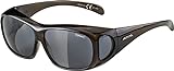 ALPINA Unisex - Erwachsene, OVERVIEW SSonnenbrille, black transparent gloss, One Size