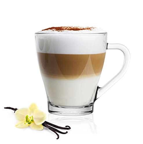 Sendez 6 Cappuccino Kaffeegläser Teegläser 250 ml Henkel und 6 Edelstahl-Löffel Trinkgläser