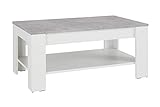 HOMEXPERTS Couchtisch JENNY / Wohnzimmer-Tisch mit Tischplatte in hell-grauer Beton-Optik / Gestell und Regalboden in Weiß / Beistelltisch / Holz-Tisch / Designer Möbel / 100x44x60cm (BxHxT)