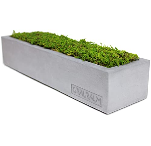 Moos-Box | Konserviertes echtes Moos in handgemachter Beton-Box | 30cm x 8cm x 6cm | GRAURAUM