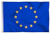 Aricona Europaflagge - Klassische Europaflagge 90 x 150 cm mit Messing-Ösen - Wetterfeste Fahne für Fahnenmast - 100% Polyester