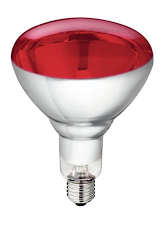 5 Stück Hartglas Infrarotbirne Philips 250 Watt rot E 27 Glühbirne Leuchtmittel für Rotlicht Wärmelampe Wärmestrahler Infrarotlampe Infrarotstrahler