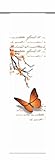 Home Fashion 87616-775 Schiebevorhang Digitaldruck Butterfly, Dekostoff, 245 x 60 cm, orange