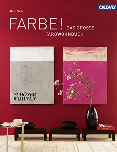 FARBE !: Das große SCHÖNER WOHNEN Farbwohnbuch