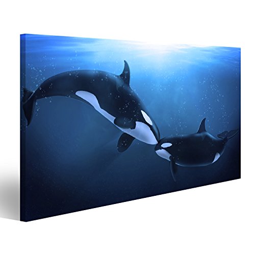 islandburner Bild Bilder auf Leinwand Zwei Orcas Wale Poster, Leinwandbild, Wandbilder