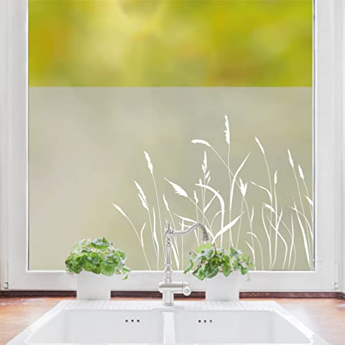 Sichtschutzfolie Gräser Fensterfolie Fensterdeko Milchglasfolie Sichtschutz, 55 cm hoch, 50 cm breit