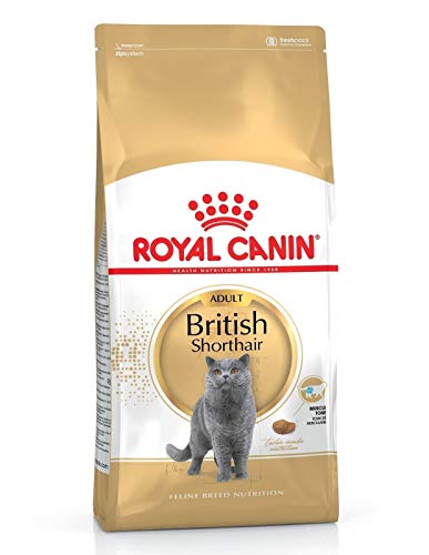 Royal Canin Katzenfutter, Britisch Kurzhaar, 10 kg