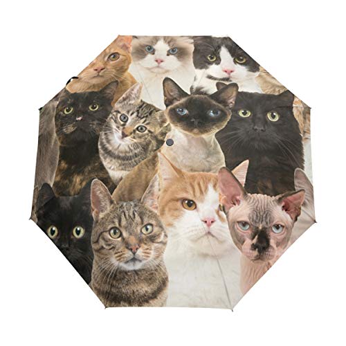 BIGJOKE Regenschirm, 3 Falten, automatisches Öffnen, Schließen, bunt, Cartoon-Katzen-Druck, winddicht, leicht, kompakt, für Jungen, Mädchen, Männer und Frauen