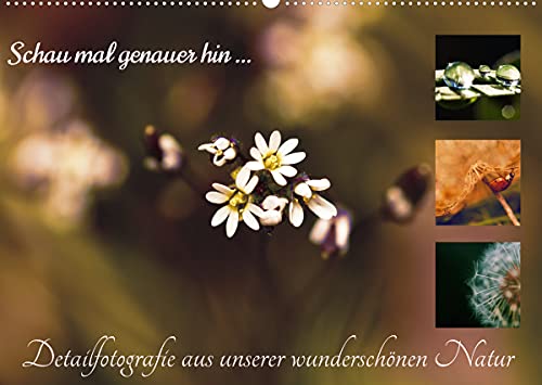 Schau mal genauer hin Detailfotografie aus unserer wunderschönen Natur (Wandkalender 2022 DIN A2 quer) [Calendar] Schwarzbach-Kraatz, Mandy