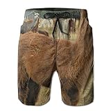 Jeroty Mens Beach Shorts Alpacas Vs Llamas Swim Trunks Summer Casual Boardshort Pants Quick Dry
