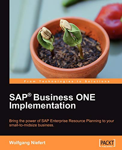 SAP Business ONE Implementation (English Edition)