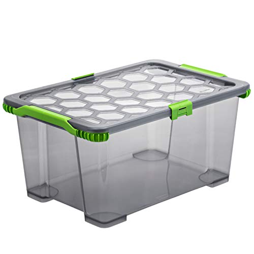 Rotho Evo Total Protection Aufbewahrungsbox 44l mit Deckel, Kunststoff (lebensmittelecht) BPA-frei, Anthrazit/Grün, 44l (59,0 x 39,5 x 28,0 cm)