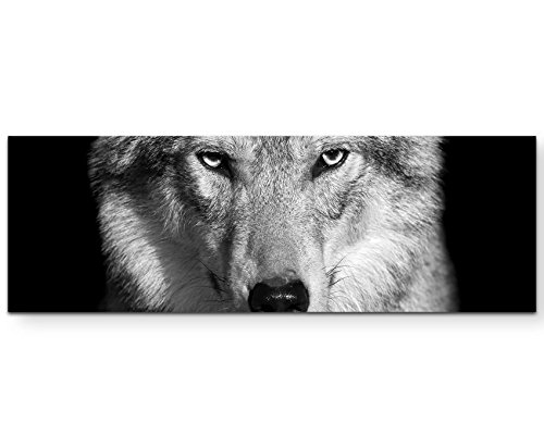 Paul Sinus Art Leinwandbilder | Bilder Leinwand 120x40cm Portrait – Wolf schwarz, weiß