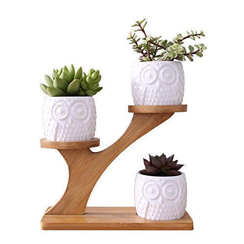 LINGLAN Sukkulenten-Übertopf aus Keramik für den Garten, Mini-Eule, Blumentöpfe mit Bambus-Ständer, 3 Stück