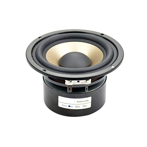 WNJ-TOOL, 1 stück 4inch 30w Audio tragbarer Lautsprecher 4Ohm HiFi-Lautsprecher Subwoofer doppelt magnetische Basslautsprecher für Heimkino-Sound