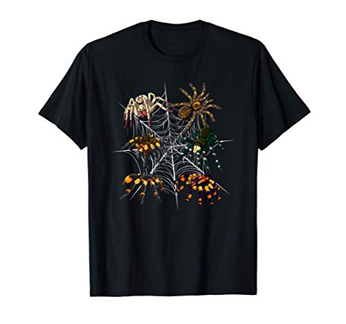 Spinnentier Arachnide Tarantel Halloween Geschenk Spinne T-Shirt