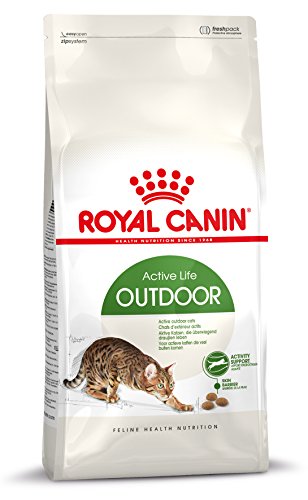 Royal Canin 55178 Outdoor 10 kg - Katzenfutter