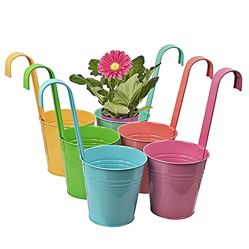 esto24® 6er Set Pastellfarben robuste Hängetopf Pflanztopf Übertopf mit Haken BUNT Zink Blumentopf Vase Balkon Garten