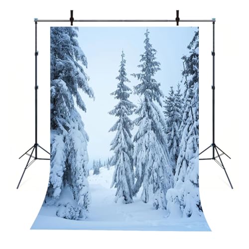 Foto von Kiefern voller Schneeflocken im Winter Schneemuster Wanddekorationen Hintergrund Banner anpassbare Fotografie Hintergrund Fotografie Fotos