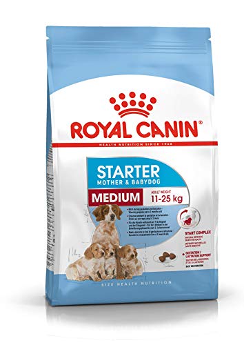 ROYAL CANIN Hundefutter Medium Starter 4 kg, 1er Pack (1 x 4 kg)