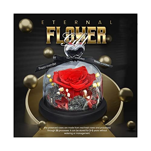 HJKJAMZ. Ewige Blumengeschenk Ewige Rose in Glas Weihnachten künstliche Blumen for Dekor, for Immer Kristall Rosen in Glaskuppel Leuchten Rose Blumen Geschenk (rot) (Color : Colored)