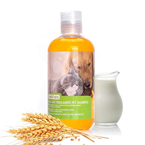 Nobleza Hundeshampoo gegen Juckreiz Milben Pilz, Sensitive-Shampoo Katze, Anti-Bakteriell, Lindert Hautreizungen, auch für Welpen und Kätzchen 250ml