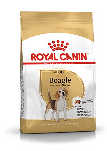 ROYAL CANIN Beagle Adult 3 kg, 1er Pack (1 x 3 kg)