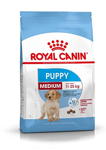 Royal Canin Medium Puppy, Hundefutter, 1er Pack (1 x 10 kg Packung) Verpackung variieren