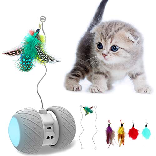 AONKEY Interaktives Katzenspielzeug Mit Federn Befestigt Automatisches, Unregelmäßiges LED-Lichtspielzeug Für Kätzchen Katzen, Alle Fußböden/Teppiche Verfügbar, Batterie Großer Kapazität