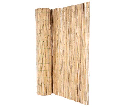 Schilfrohrmatte bambussi 100x500cm mit grünem Draht verwebt - Niedrige Sichtschutz Schilfmatte 1m x 5m