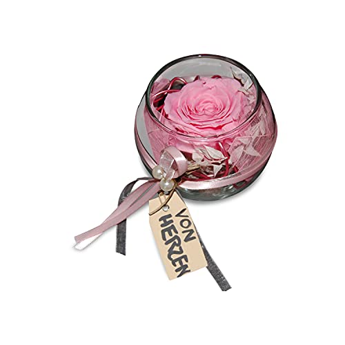 Handgefertigte konservierte Rose im Glas - Echte ewige Rose Mind. 3 Jahre haltbar - stilvolle Dekoration mit Infinity Rose, Geschenk für jeden Anlass (Rosa) - Made in Germany