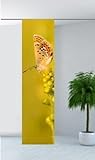 gardinen-for-life Flächenvorhang Schmetterling, Schiebevorhang Butterfly, Gr.60x260 cm