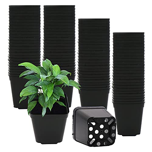 Pflanzentöpfe Aus Kunststoff 100 Stück 5 cm Schwarz Plastik Vierkanttöpfe Pflanztopf Blumentöpfe Anzuchttöpfe