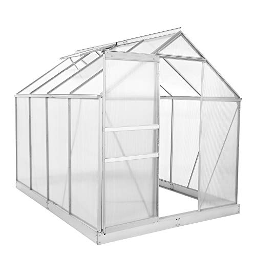 Zelsius Aluminium Gewächshaus für den Garten | inklusive Fundament | 250 x 190 cm | 6 mm Platten | Vielseitig nutzbar als Treibhaus, Tomatenhaus, Frühbeet und Pflanzenhaus