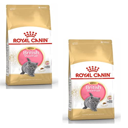Royal Canin British Shorthair Kittenfutter trocken für Kätzchen - Doppelpack - 2 x 400g