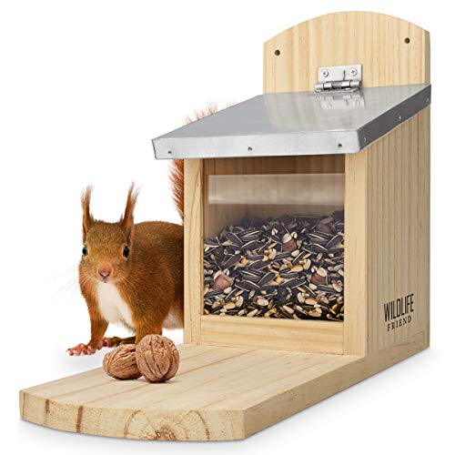 WILDLIFE FRIEND I Eichhörnchen Futterhaus Maxi extra groß und stabil aus Massivholz mit Metall-Dach - Wetterfest, Futterstation zum Eichhörnchen füttern, Eichhörnchenfutterhaus