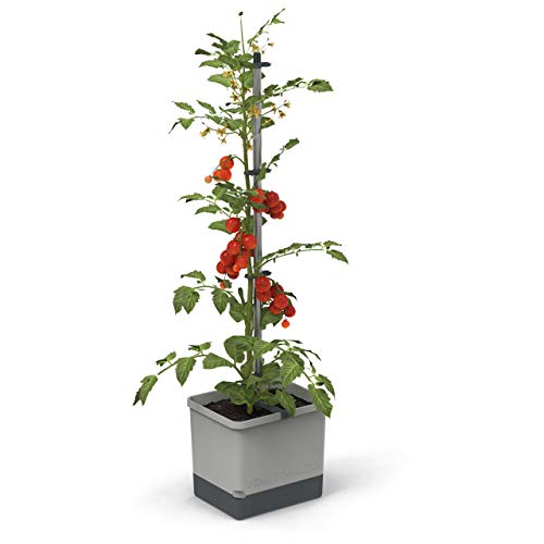 Tom Tomato - Tomatentopf - 4,5 L Wassertank Bewässerungssystem - Rankhilfe - Befestigungshaken - 20 L Erdvolumen - Kletterpflanzen - Pflanzkübel Pflanzgefäß Blumentopf Pflanzturm (Hellgrau)