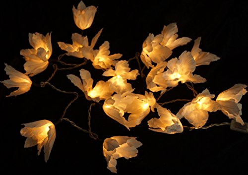 GURU SHOP Lotus Blüten LED Lichterkette 20 Stk. - Blüte Weiß, Papier, Lichterketten