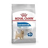 ROYAL CANIN 8kg Mini Adult Light für kleine Hunde