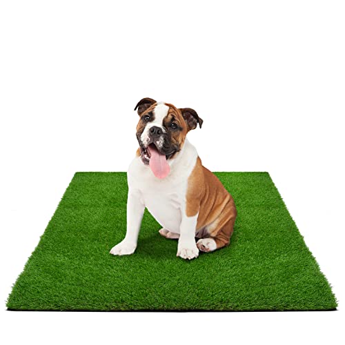 KARAT Premium Kunstrasen für Hunde - Höhe: 40 mm - Trainingsunterlage Hundetoilette Welpentoilette - wiederverwendbarer Gras Ersatz für Balkon, Terrasse, Garten (50 x 60 cm)