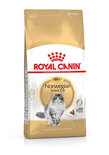 ROYAL CANIN Katzenfutter Norwegische Waldkatze 10 kg, 1er Pack (1 x 10 kg)