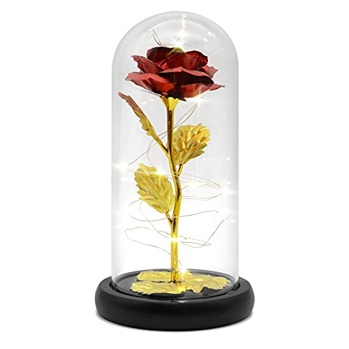 Die Schöne Und das Biest Rose in Glaskuppel mit LED-Lichter, Eternal Enchanted Forever Rose Auf Holzsockel, Romantisches Geschenk für Frauen Valentinstag, Mutter, Jahrestag Geburtstag Hochzeitstag