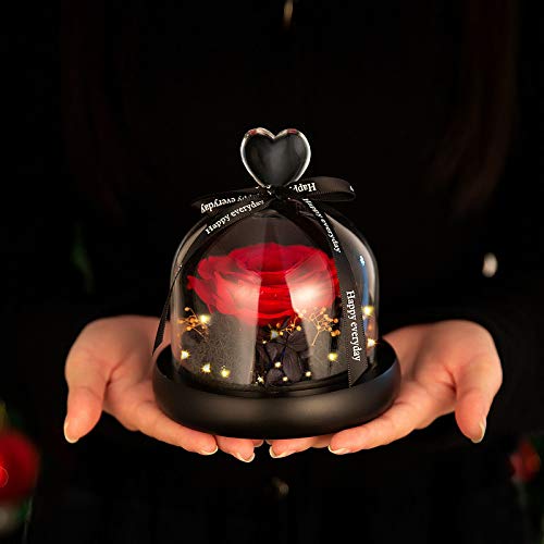Comius Sharp Ewige Rose im Glas, Konservierte Rose mit LED-Lichtern und Geschenkbox für Mädchen, Valentinstag, Hochzeit, Muttertag, Jahrestag, Geburtstag, Erntedankfest, Weihnachten