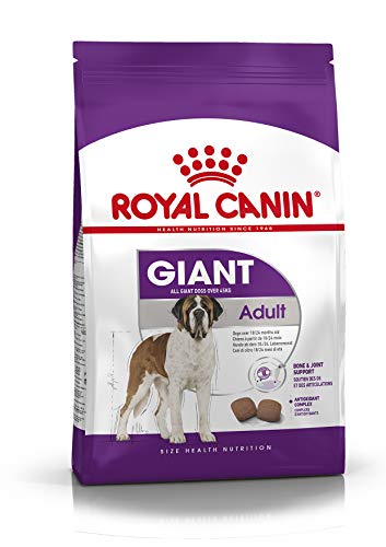 Royal Canin 35245 Giant Adult 4 kg - Hundefutter