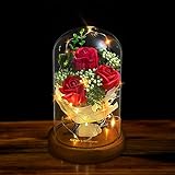 Shirylzee Rose im Glas Ewige Rose Glas Licht Künstliche Rose mit LED-Licht in Glaskuppel, Romantisch Dekoration Geschenk zum Muttertag Valentinstag Jubiläum Geburtstag Hochzeit Weihnachten (Rot)